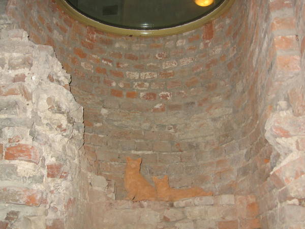 IMG_0359.jpg