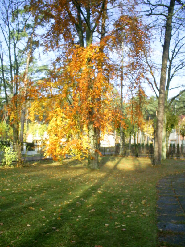 PIC_0197.JPG