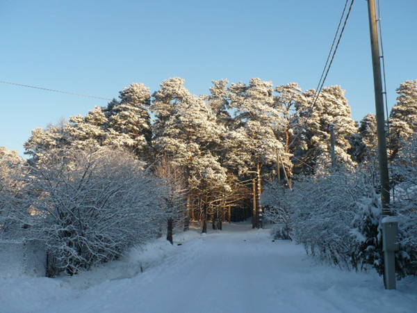 встречи форумчан 2008г 052.jpg