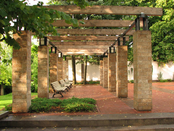 p11.jpg