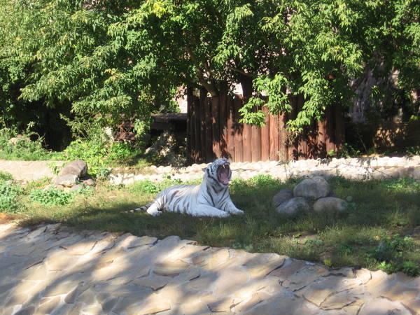 IMG_1371.JPG