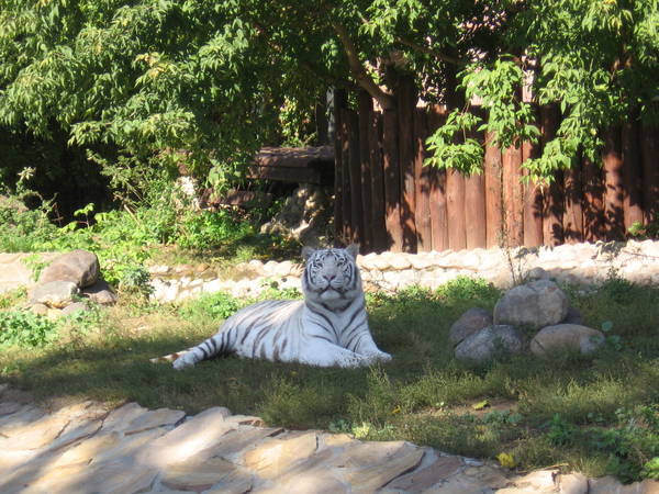IMG_1369.JPG