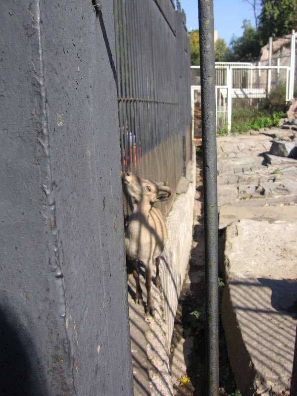 IMG_1354.JPG