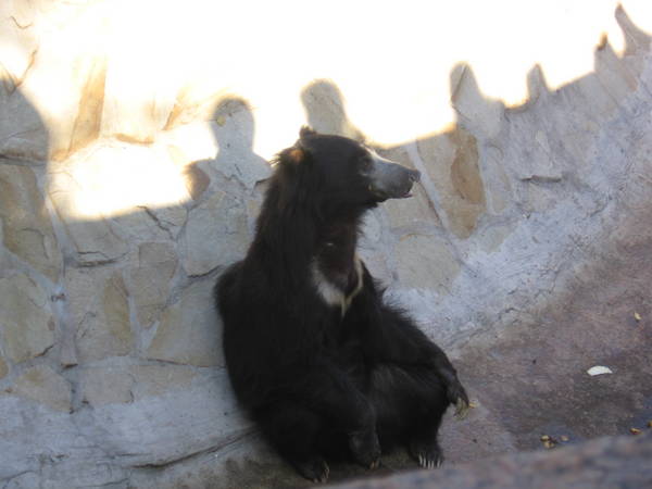 IMG_1372.JPG