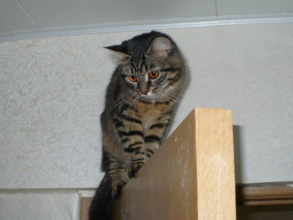 1-10 мая 2009 года 274.jpg