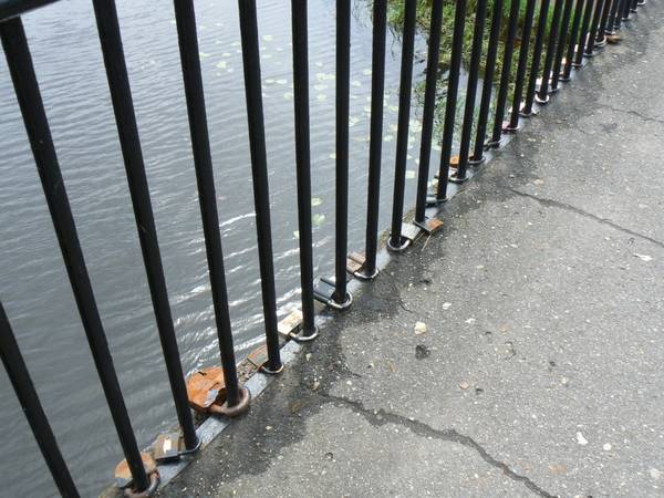 P1050201.JPG