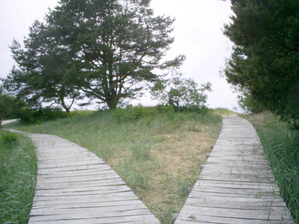 PIC_0375.JPG