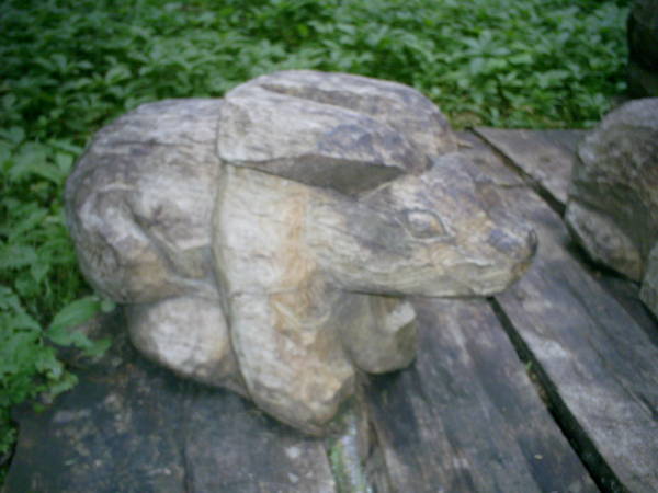 PIC_0539.JPG