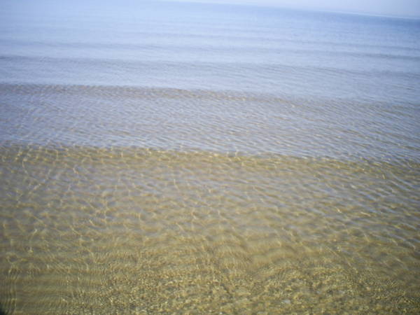 PIC_0653.JPG