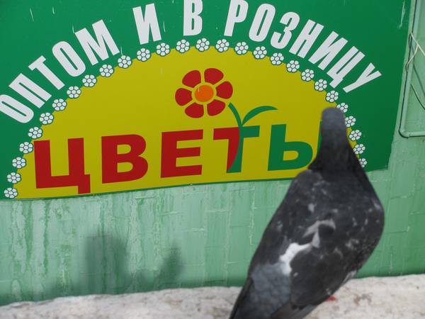 Коломна13.jpg