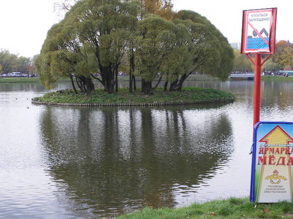 IMGP0667.JPG