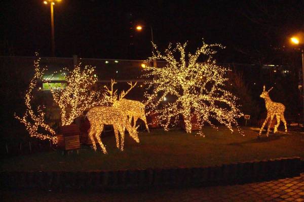 DSC03111_.jpg