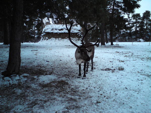 DSC00089.JPG