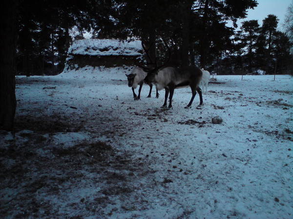 DSC00088.JPG