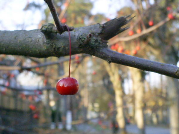 PIC_0014.JPG
