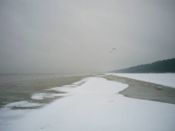 PIC_0060.JPG
