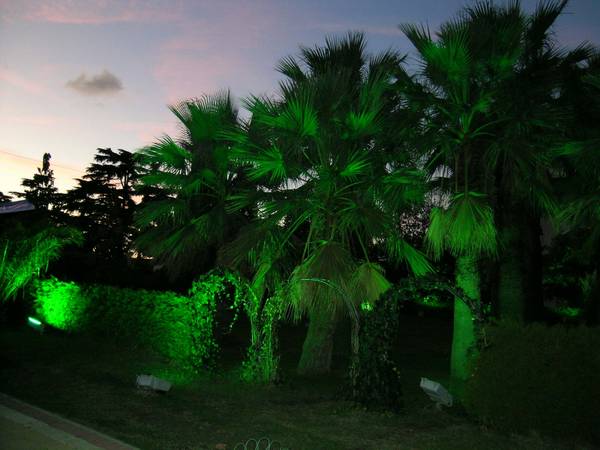 DSCN4087.jpg