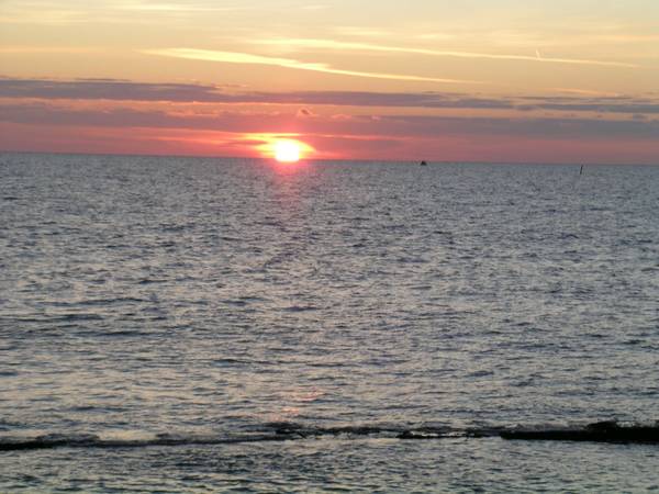 DSCN4078.jpg
