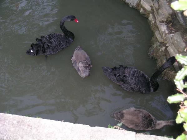 DSCN4042.jpg