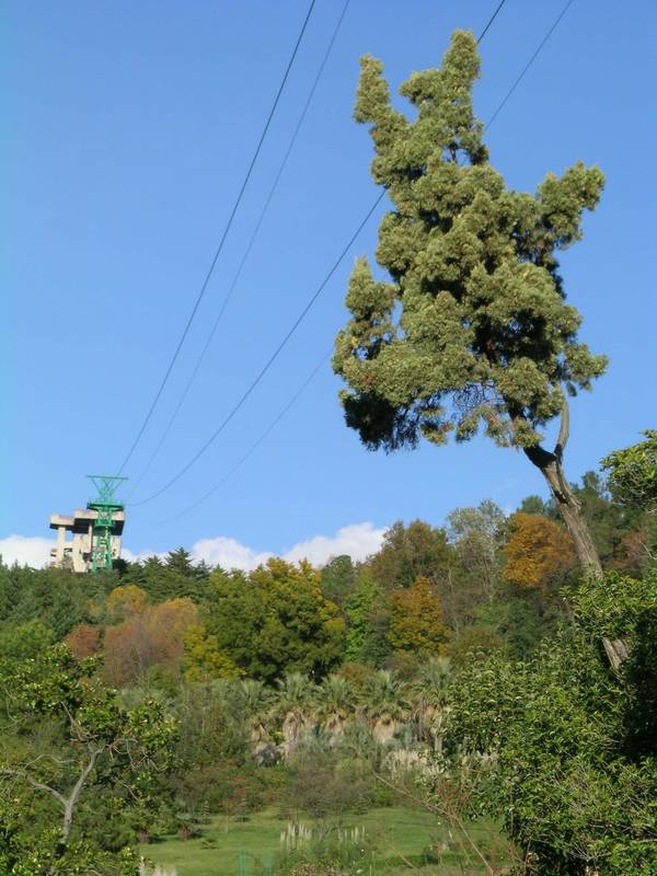 DSCN4013.jpg