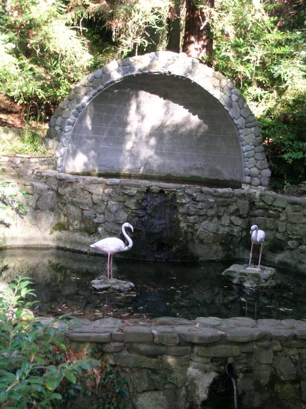 DSCN4004.jpg