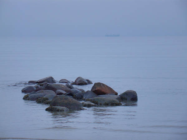 DSC00855-1mb.jpg