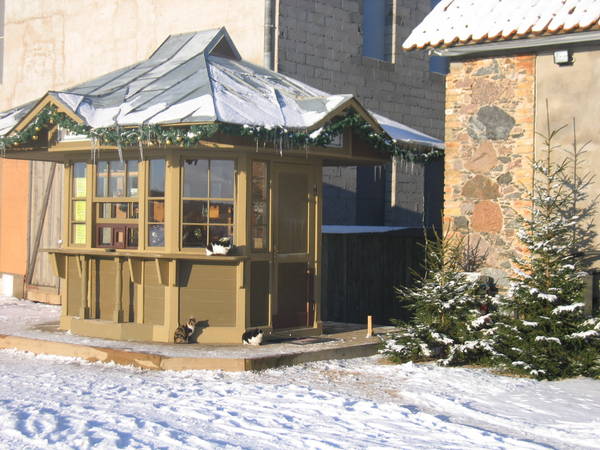 2009-01-04 (318).jpg