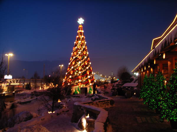 DSC01889.JPG