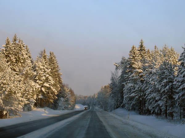 DSC01113.JPG