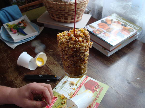 DSC06287.JPG