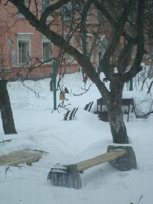 DSC06295.JPG