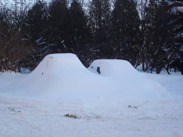 DSC09887.JPG