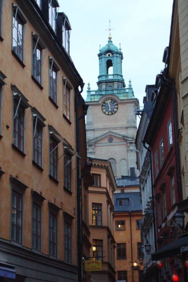 DSC04487.JPG