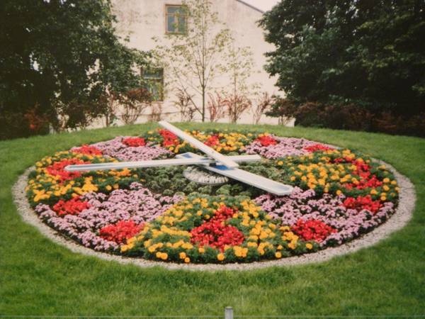 Фотки 007.jpg