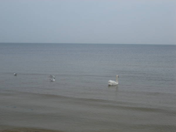 Picture 127.jpg