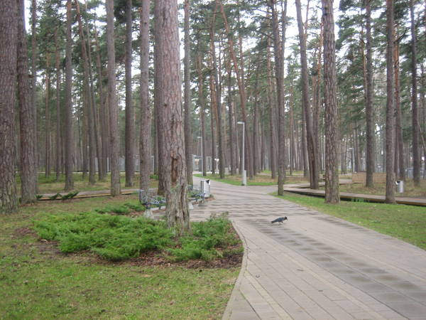 Picture 097.jpg