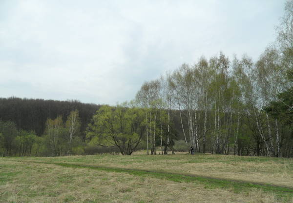 SAM_0854.JPG