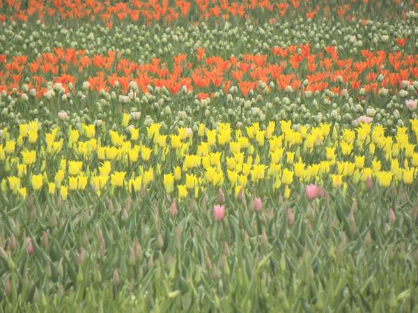 Фотки 02.05.10 069.jpg