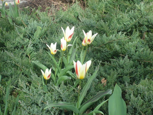 Picture 210.jpg
