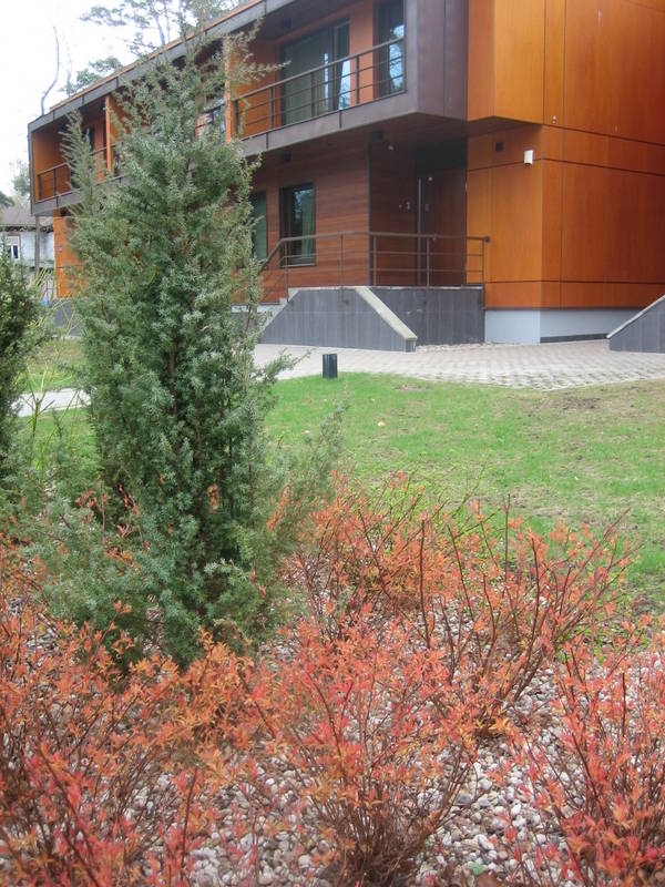Picture 199.jpg
