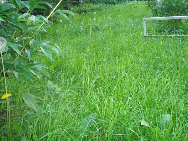 DSC07427.JPG