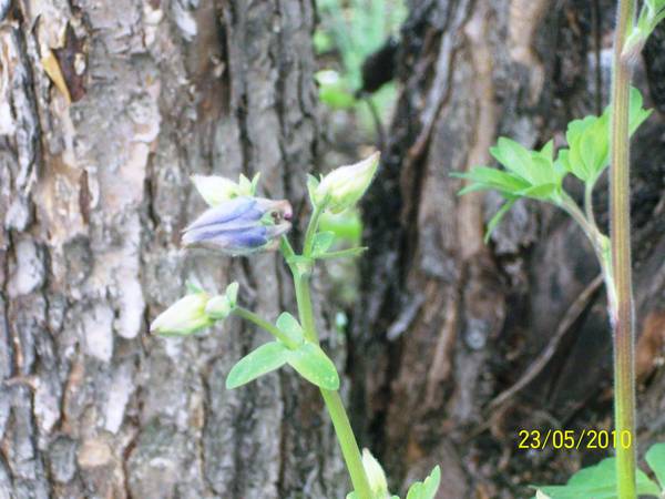 100_2881.JPG