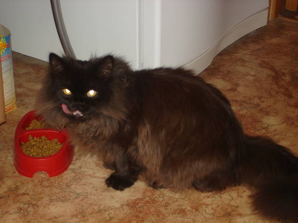 DSC00069.JPG