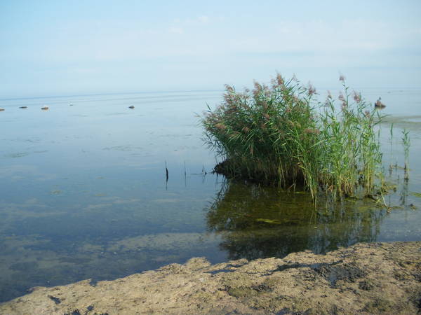 IMGP2867.JPG
