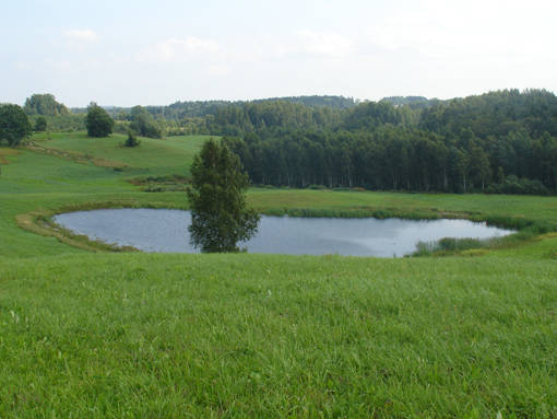DSC02836.JPG