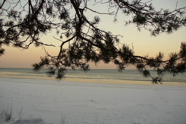 Латвия Новый Год 2008 130.jpg