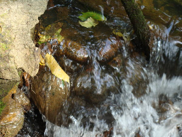 DSC01986.JPG