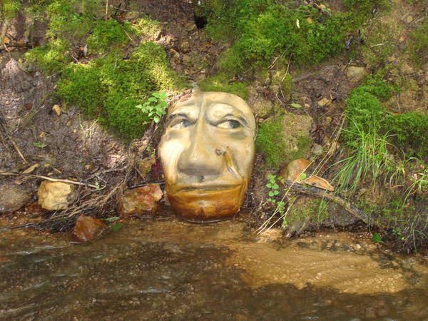 DSC01984.JPG