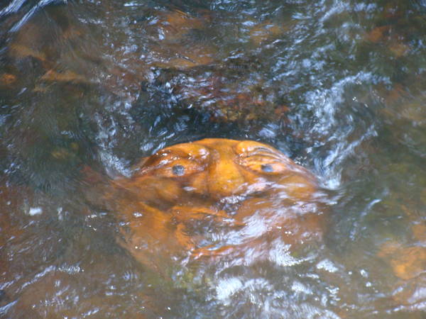 DSC01954.JPG