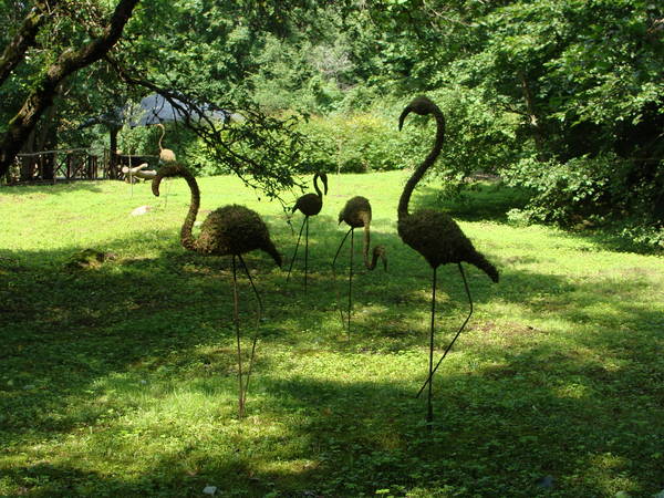 DSC01949.JPG